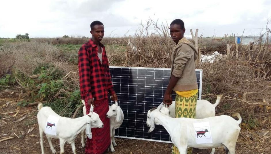 Goat4Kwh by Power OffGrid.